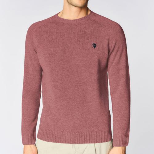 Pull Us Polo Assn homme Leon rose