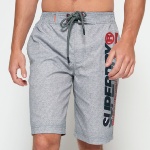 Boardshort / Short de plage et de baignade Superdry Gris