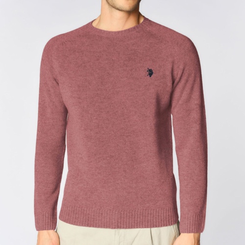 Pull Us Polo Assn homme Leon rose